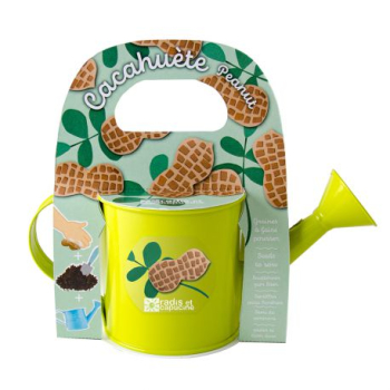 mini-arrosoir-vert-avec-graines-de-cacahuetes