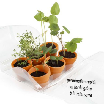 mini-serre-plastique-recycle-mon-premier-jardin