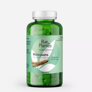 Muira_puama_-_Rue_Des_Plantes-106091