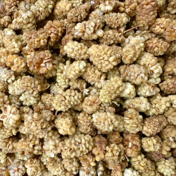 Mures blanches BIO 200gr