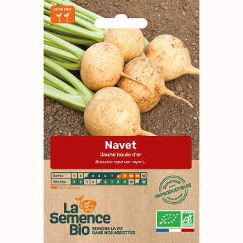 semences-bio-reproductibles-navet-jaune-boule-d-or-bio