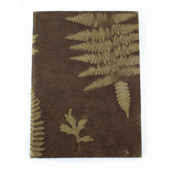 Carnet "farn"