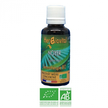 Noyer-Gemmotherapie-Bio-Herbiovital-Sevragealcoolique