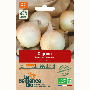 semences-bio-reproductibles-oignon-jaune-des-cevennes-bio