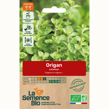 semences-bio-reproductibles-origan-commun-bio