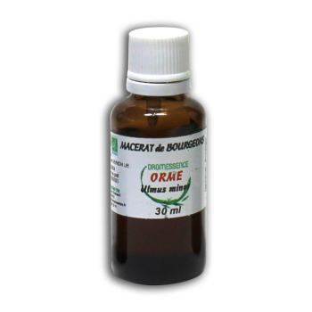 Macérât BIO de bourgeons : Orme 30 ML DROMESSENCE
