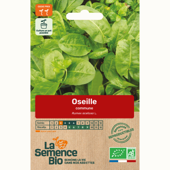 semences-bio-reproductibles-oseille-commune-bio