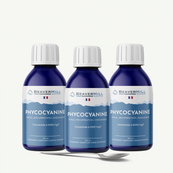 Phycocyanine Concentrée à 6000 mg/l – Pack ECO 3 flacons –