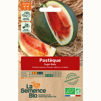 semences-bio-reproductibles-pasteque-sugar-baby-bio
