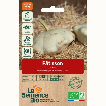 semences-bio-reproductibles-patisson-blanc
