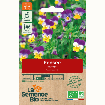 semences-bio-reproductibles-pensee-sauvage-bio