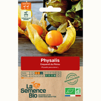 physalis-coqueret-du-perou-bio