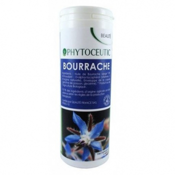 bourrache-phytoceutic