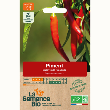 piment-sucette-de-provence-bio