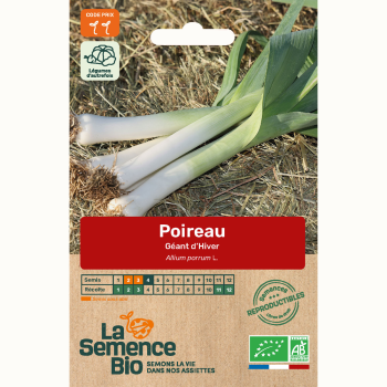 semences-bio-reproductibles-poireau-geant-d-hiver-bio