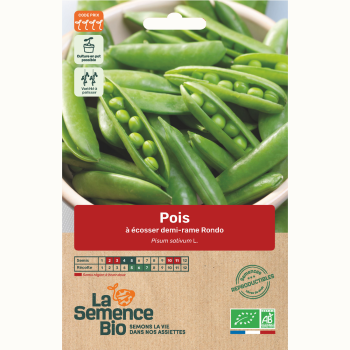 semences-bio-reproductibles-pois-a-ecosser-nain-rondo-bio