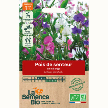 semences-bio-reproductibles-pois-de-senteur-en-melange-bio