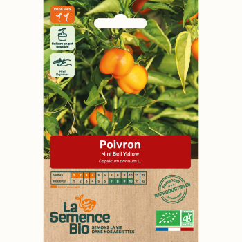 poivron-mini-bell-yellow-bio