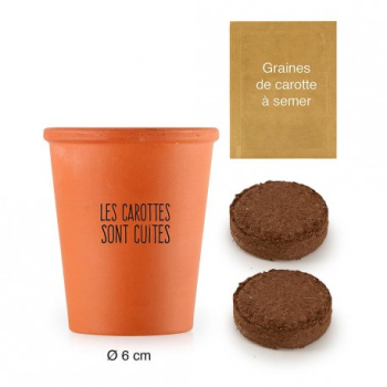 pot-message-les-carottes-sont-cuites-graines-de-carottes
