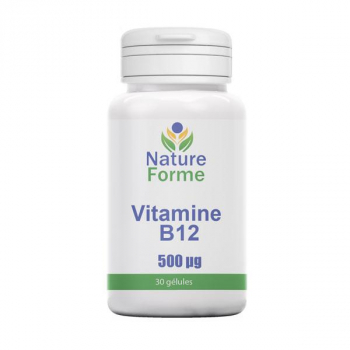 Vitamine B12 500 µ