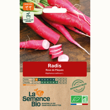 semences-bio-reproductibles-radis-rose-de-paques-bio