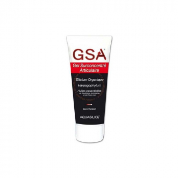 GeSil gel surconcentré 200 ml Aquasilice