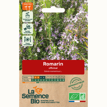 semences-bio-reproductibles-romarin-officinal-bio
