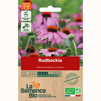 semences-bio-reproductibles-rudbeckie-echinacee-bio