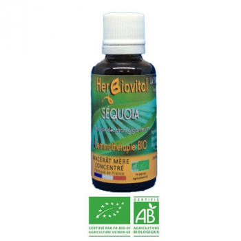 Séquoïa-Gemmotherapie-Bio-Herbiovital-Vitalite-sexuelle