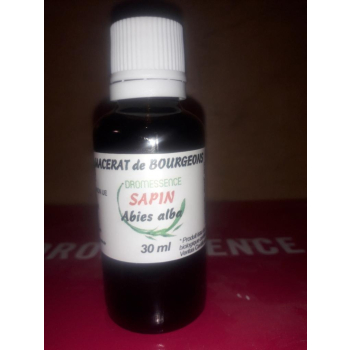 Macérât BIO de bourgeons : Sapin 30 ml  DROMESSENCE