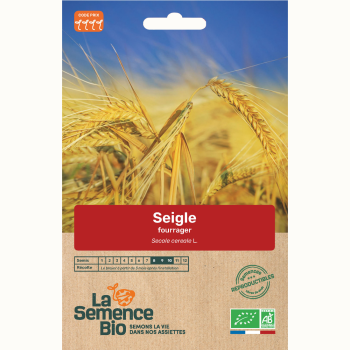 semences-bio-reproductibles-seigle-fourrager-bio