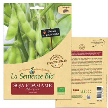 semences-bio-reproductibles-soja-edamame-chiba-green