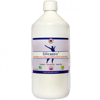 silicassis-arthrosil-vecteur-energy
