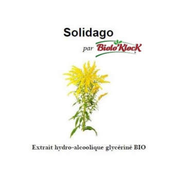 Extrait de Solidago - 50ml