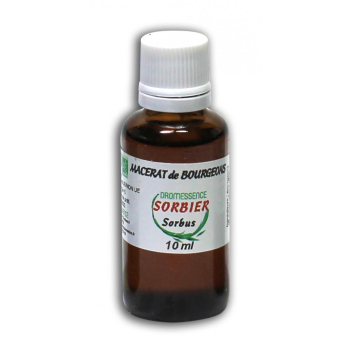 Macérât BIO de bourgeons : Sorbier 10 ml DROMESSENCE