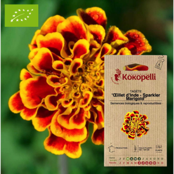 Sachet de graines bio à semer -Tagète - Œillet d'Inde Sparkler Marigold