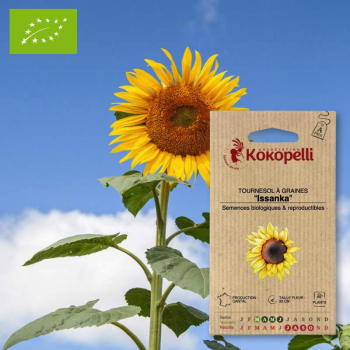 Sachet de graines bio à semer - Tournesol à Graines Issanka