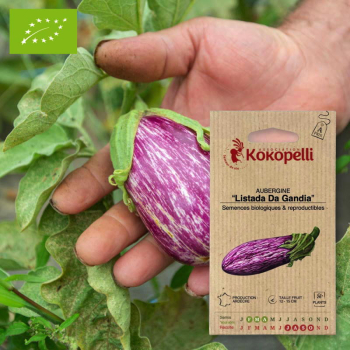 Sachet de graines bio à semer - Aubergine Listada Da Gandia