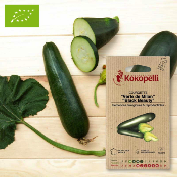 Sachet de graines bio à semer - Courgette Verte de Milan