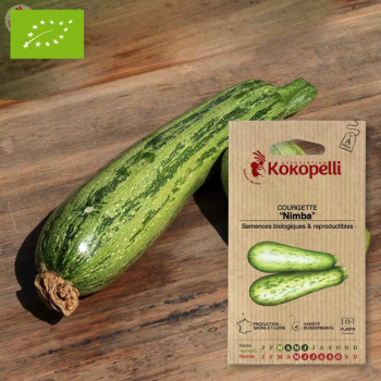 Sachet de graines bio à semer - Courgette Nimba