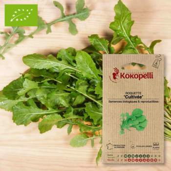 Sachet de graines bio à semer - Roquette Cultivée