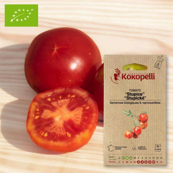 Sachet de graines bio à semer - Tomate Stupice