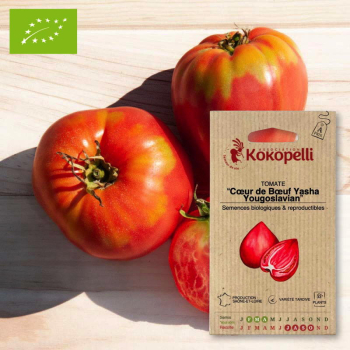 Sachet de graines bio à semer -Tomate Cœur de Bœuf Yasha Yougoslavian