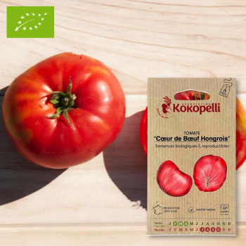 Sachet de graines bio à semer -Tomate Cœur de Bœuf Hongrois