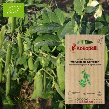 Sachet de graines bio à semer - Pois Merveille de Kelvedon