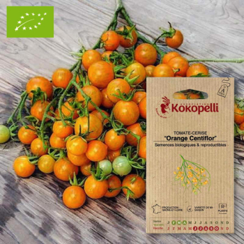 Sachet de graines bio à semer -Tomate-Cerise Orange Centiflor