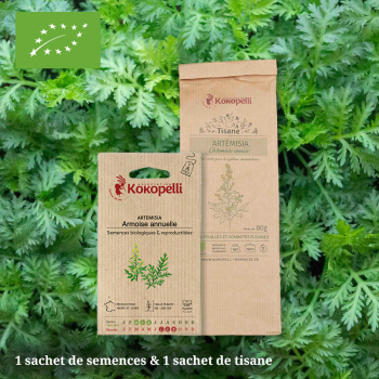 Lot de 1 sachet de graines et 1 sachet de tisane d'Artemisia Annua bio