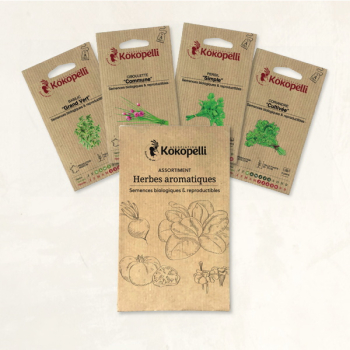 Herbes aromatiques - 4 sachets de graines bio à semer