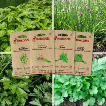 Sachet de graines bio à semer -Herbes aromatiques - 4 sachets de graines bio à semer