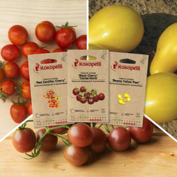 Sachet de graines bio à semer -Tomates-cerise apéro - 3 sachets de graines bio à semer